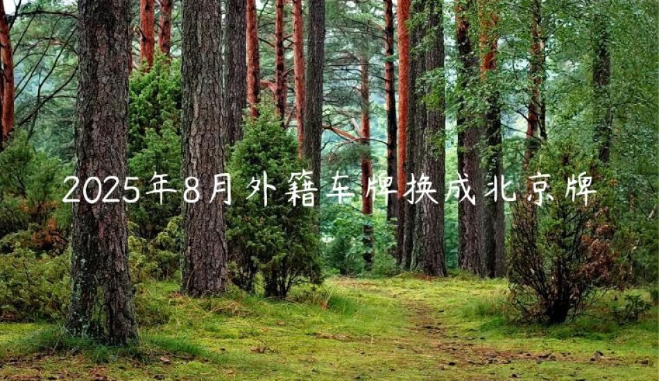 2025年8月外籍车牌换成北京牌