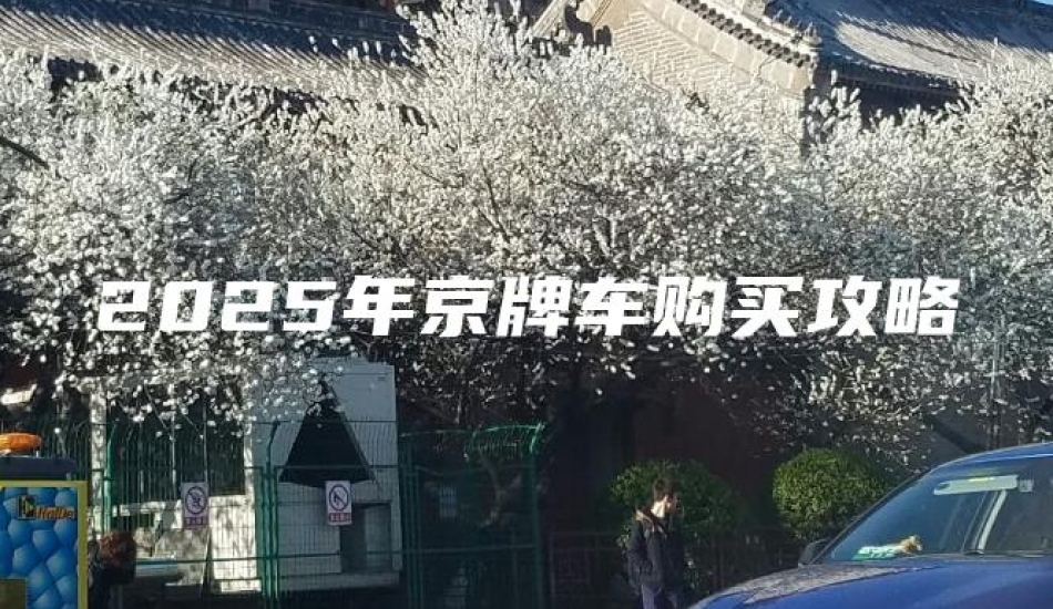 2025年京牌车购买攻略