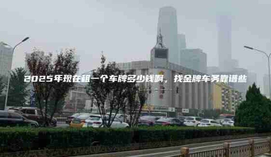 2025年现在租一个车牌多少钱啊，找金牌车务靠谱些