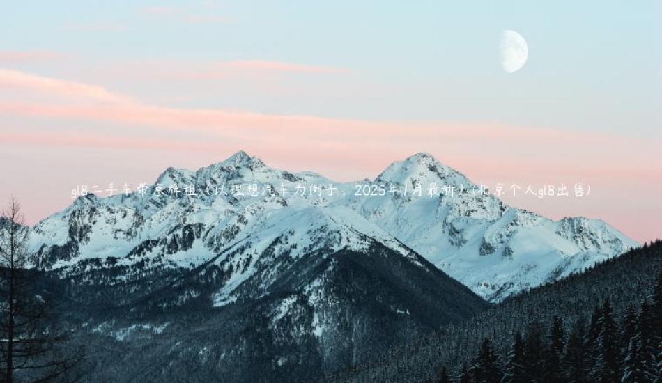 gl8二手车带京牌租（以理想汽车为例子，2025年1月最新）(北京个人gl8出售)