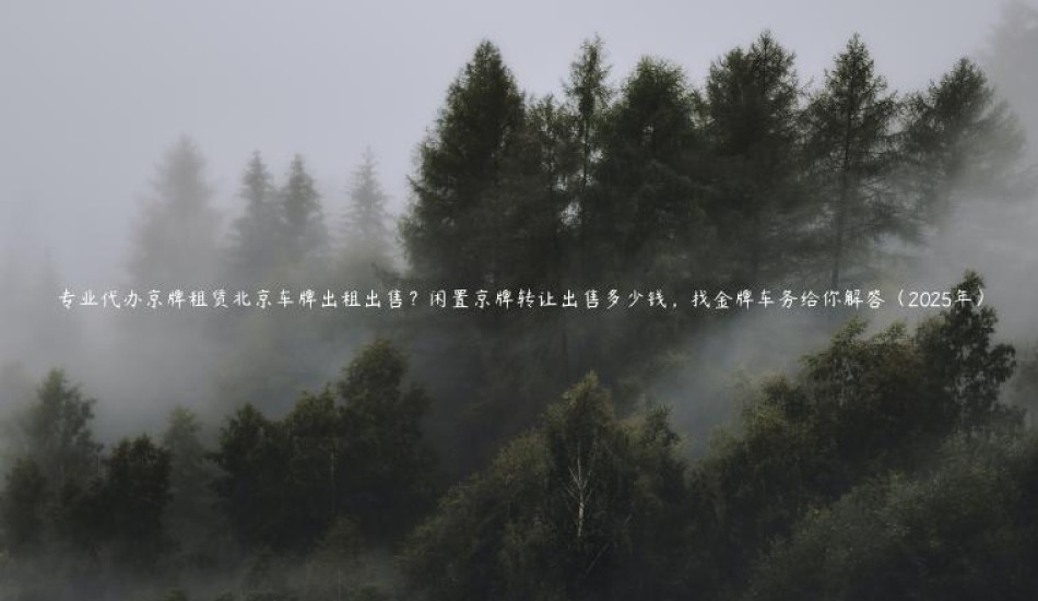 专业代办京牌租赁北京车牌出租出售？闲置京牌转让出售多少钱，找金牌车务给你解答（2025年）