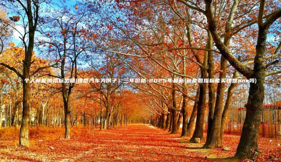 个人新能源指标出租(理想汽车为例子）三年价格-2025年最新(新能源指标能买理想one吗)