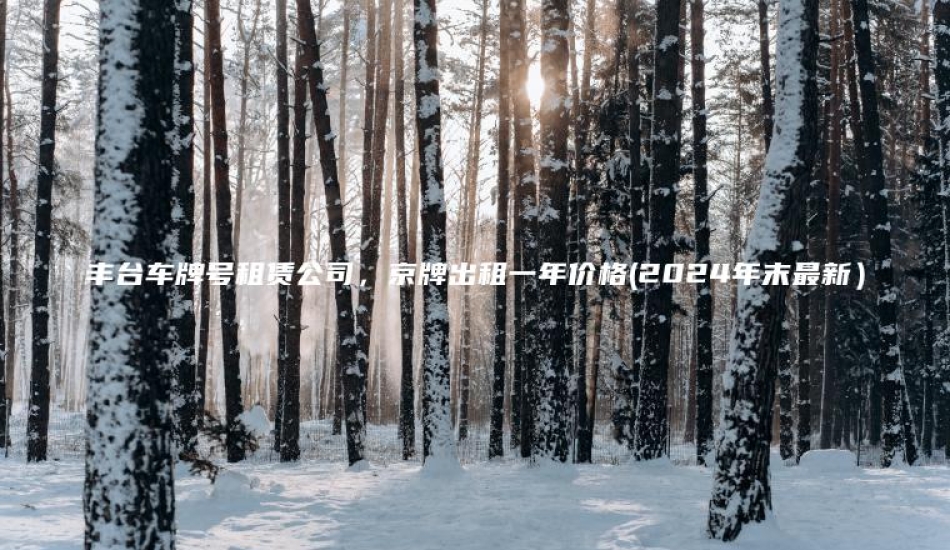 丰台车牌号租赁公司，京牌出租一年价格(2024年末最新）
