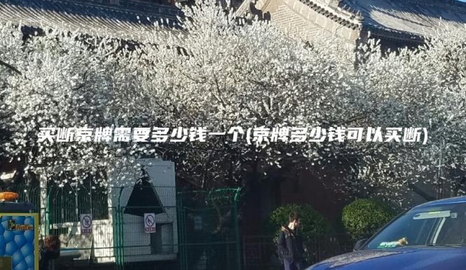 买断京牌需要多少钱一个(京牌多少钱可以买断)