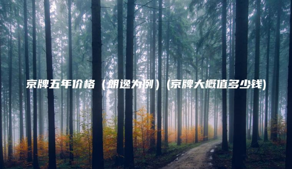 京牌五年价格（朗逸为例）(京牌大概值多少钱)