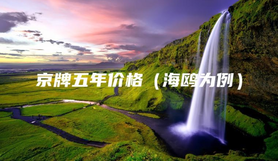 京牌五年价格（海鸥为例）