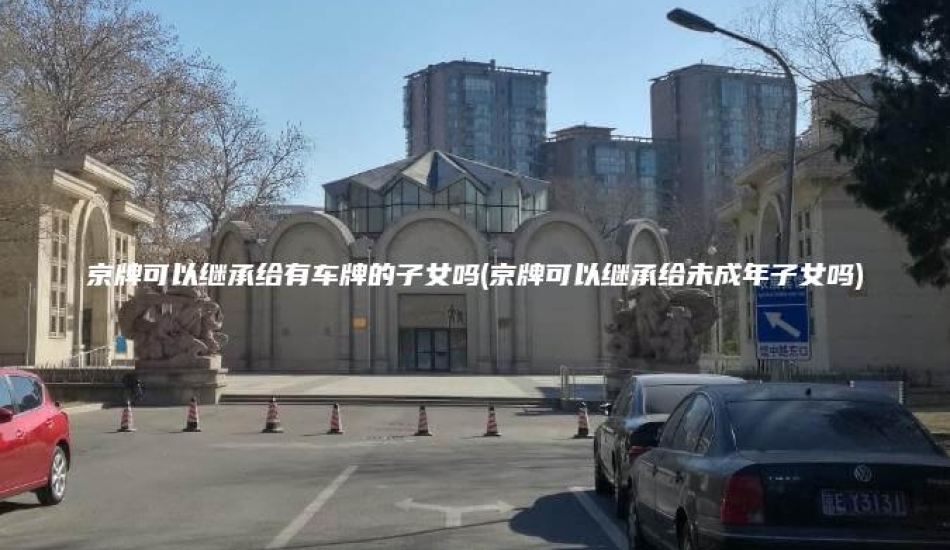 京牌可以继承给有车牌的子女吗(京牌可以继承给未成年子女吗)