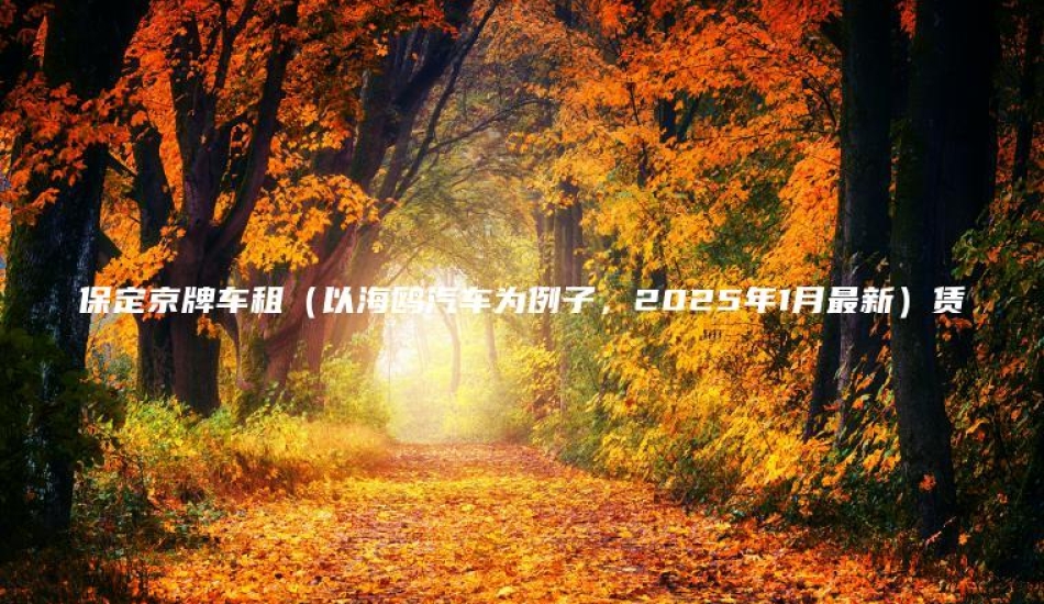 保定京牌车租（以海鸥汽车为例子，2025年1月最新）赁
