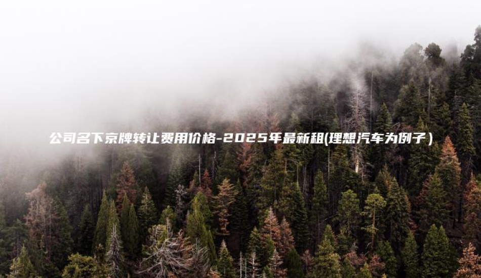 公司名下京牌转让费用价格-2025年最新租(理想汽车为例子）