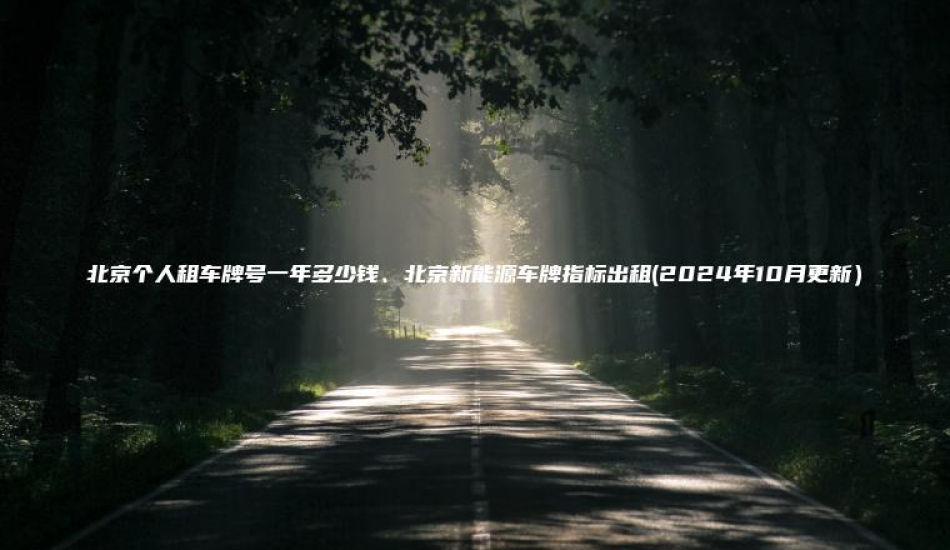 北京个人租车牌号一年多少钱北京新能源车牌指标出租2024年10月更新