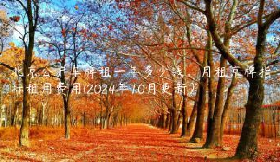 北京公户车牌租一年多少钱月租京牌指标租用费用2024年10月更新