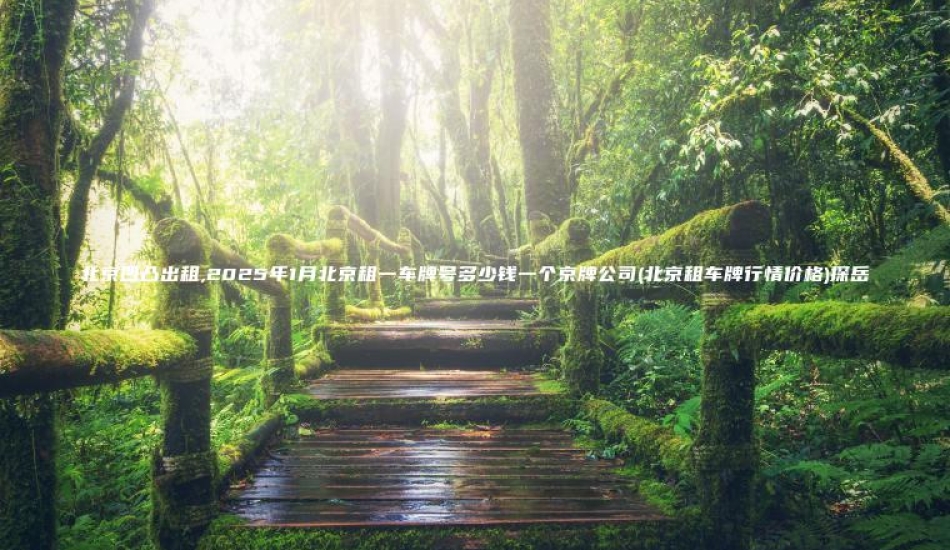 北京凹凸出租,2025年1月北京租一车牌号多少钱一个京牌公司(北京租车牌行情价格)探岳