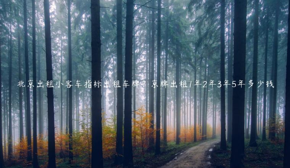 北京出租小客车指标出租车牌？京牌出租1年2年3年5年多少钱