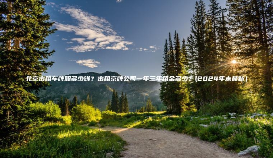 北京出租车牌照多少钱？出租京牌公司一年三年租金多少？(2024年末最新）