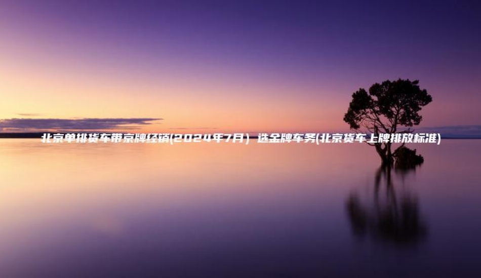 北京单排货车带京牌经销(2024年7月)选金牌车务(北京货车上牌排放标准)