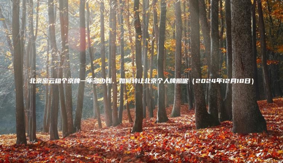 北京密云租个京牌一年多少钱、如何转让北京个人牌照呢（2024年12月18日）
