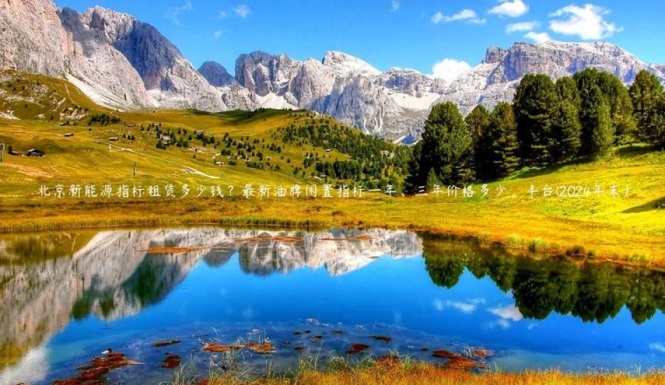 北京新能源指标租赁多少钱？最新油牌闲置指标一年、三年价格多少，丰台(2024年末）