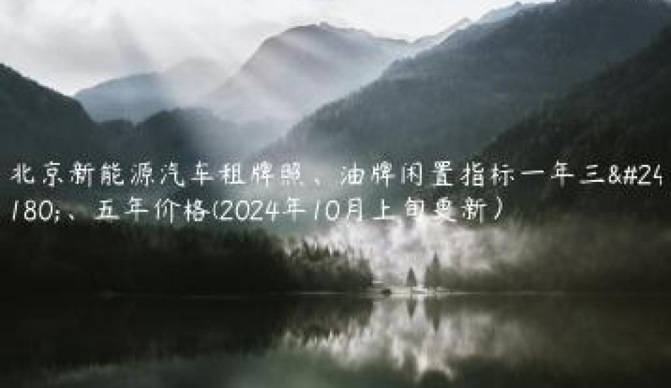 北京新能源汽车租牌照、油牌闲置指标一年三年、五年价格(2024年10月上旬更新）