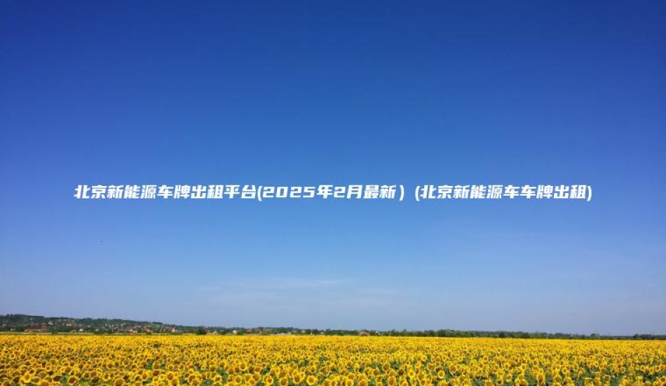 北京新能源车牌出租平台(2025年2月最新）(北京新能源车车牌出租)