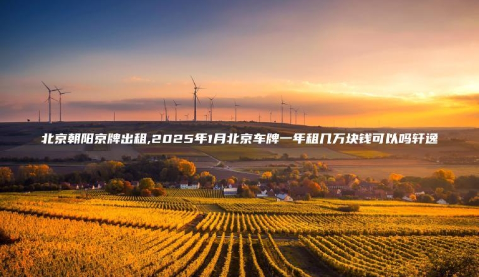 北京朝阳京牌出租,2025年1月北京车牌一年租几万块钱可以吗轩逸