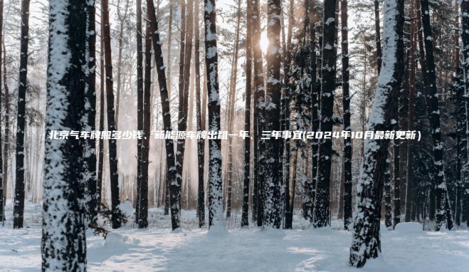 北京气车牌照多少钱新能源车牌出租一年三年事宜2024年10月最新更新