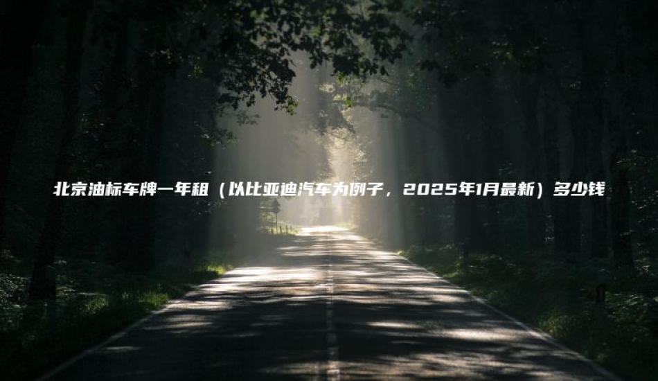 北京油标车牌一年租（以比亚迪汽车为例子，2025年1月最新）多少钱