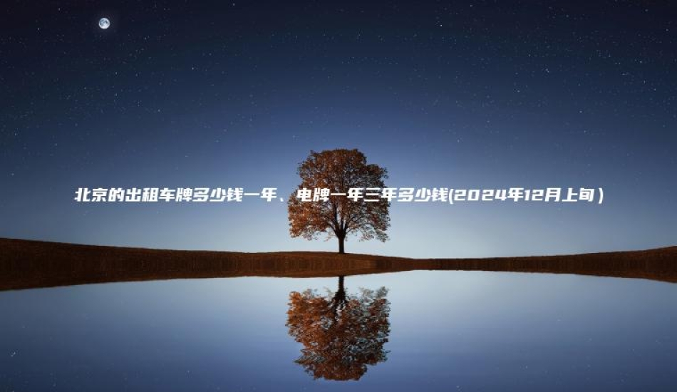 北京的出租车牌多少钱一年、电牌一年三年多少钱(2024年12月上旬）