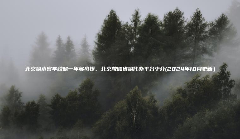 北京租小客车牌照一年多少钱、北京牌照出租代办平台中介(2024年10月更新）