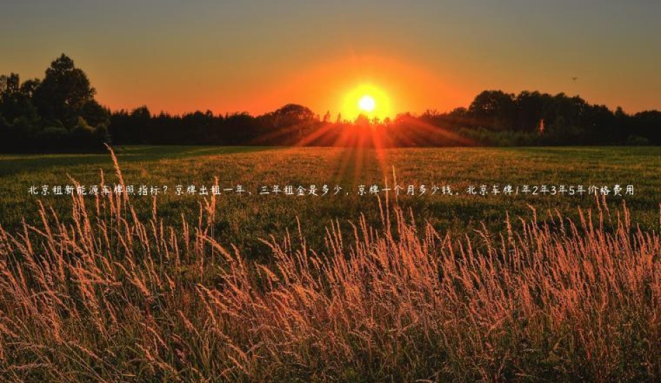 北京租新能源车牌照指标？京牌出租一年、三年租金是多少，京牌一个月多少钱，北京车牌1年2年3年5年价格费用