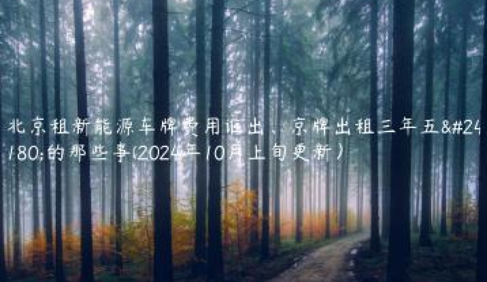 北京租新能源车牌费用谁出、京牌出租三年五年的那些事(2024年10月上旬更新）