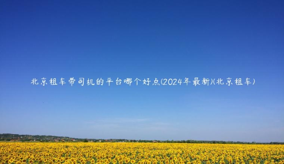 北京租车带司机的平台哪个好点(2024年最新)(北京租车)