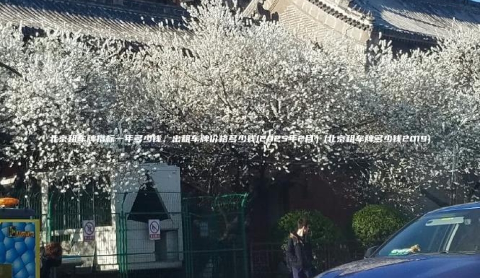 北京租车牌指标一年多少钱、出租车牌价格多少钱(2025年2月）(北京租车牌多少钱2019)