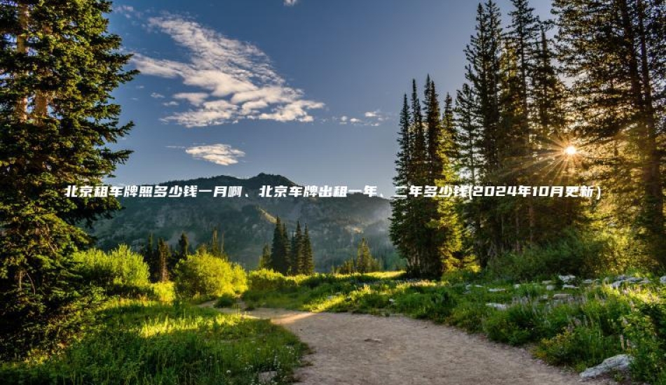 北京租车牌照多少钱一月啊北京车牌出租一年二年多少钱2024年10月更新