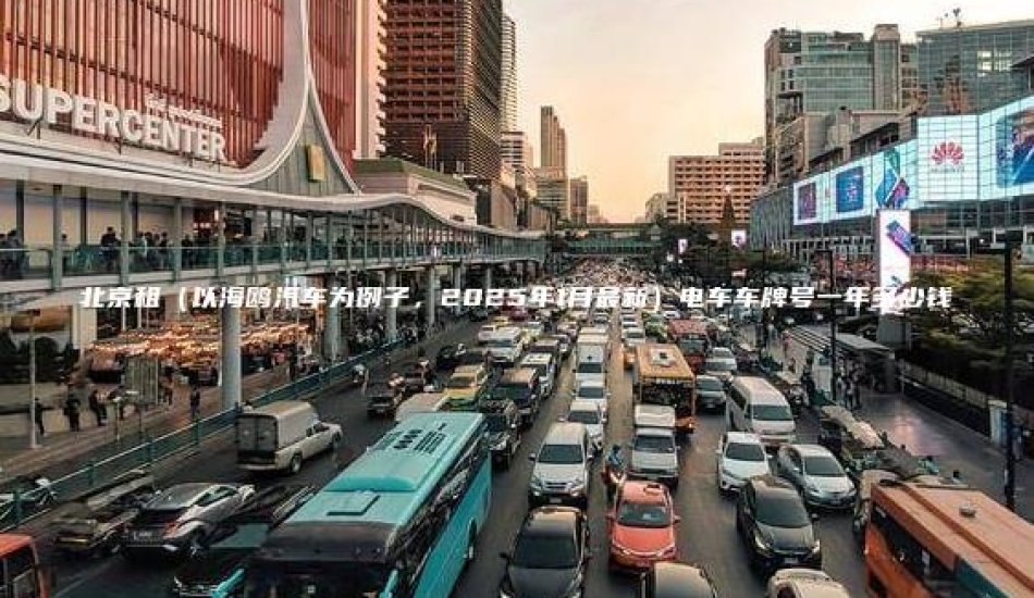 北京租（以海鸥汽车为例子，2025年1月最新）电车车牌号一年多少钱