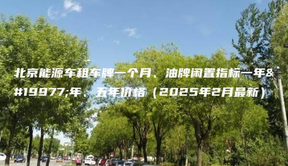 北京能源车租车牌一个月、油牌闲置指标一年三年、五年价格（2025年2月最新）