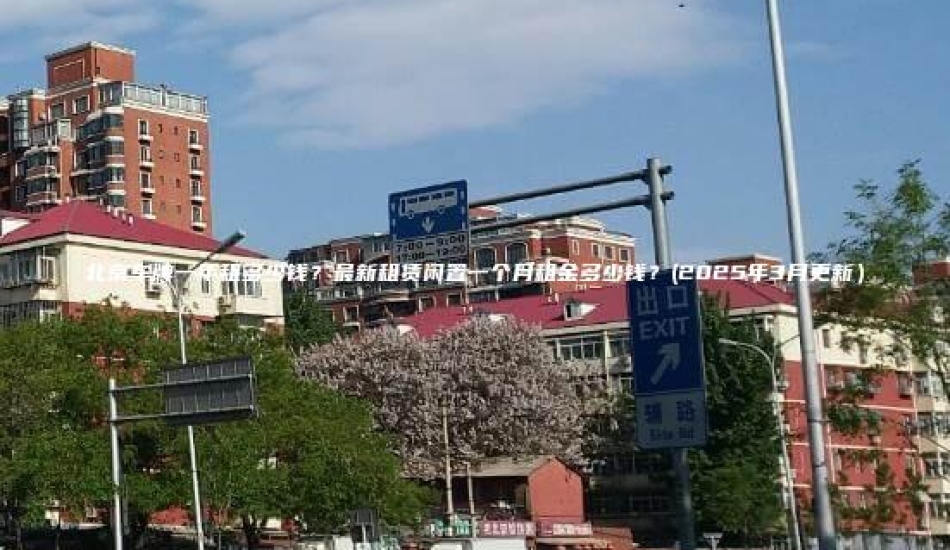 北京车牌一年租多少钱？最新租赁闲置一个月租金多少钱？(2025年3月更新）