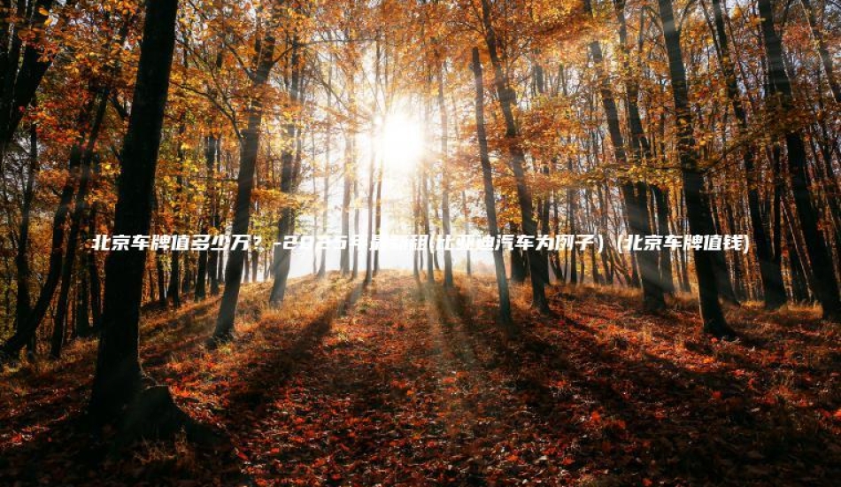 北京车牌值多少万？-2025年最新租(比亚迪汽车为例子）(北京车牌值钱)