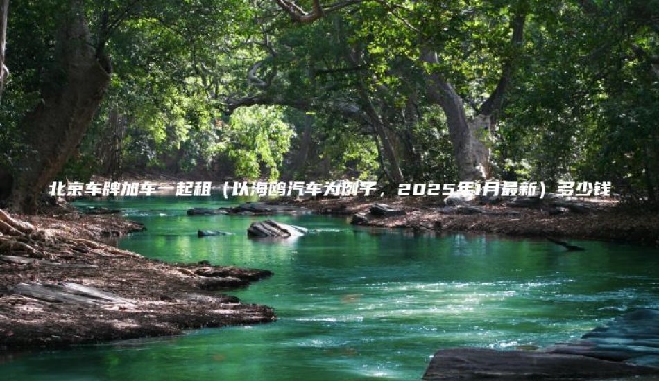 北京车牌加车一起租（以海鸥汽车为例子，2025年1月最新）多少钱