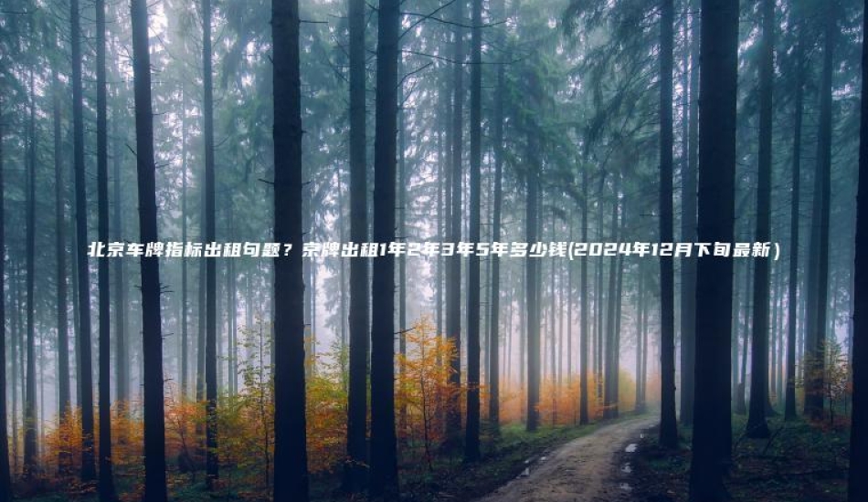 北京车牌指标出租句题？京牌出租1年2年3年5年多少钱(2024年12月下旬最新）