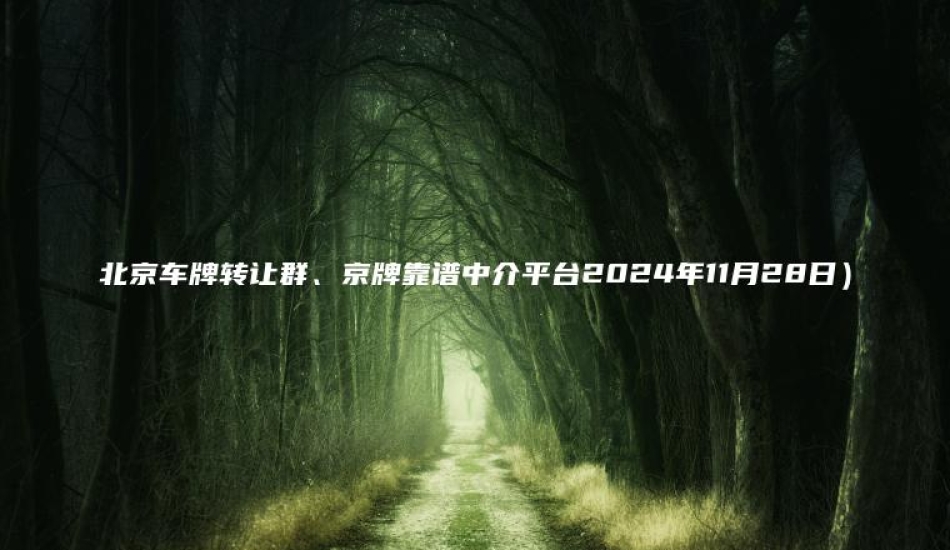 北京车牌转让群、京牌靠谱中介平台2024年11月28日）