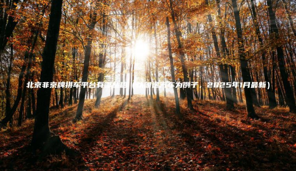 北京非京牌拼车平台有哪些租（以朗逸汽车为例子，2025年1月最新）