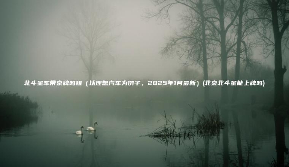 北斗星车带京牌吗租（以理想汽车为例子，2025年1月最新）(北京北斗星能上牌吗)