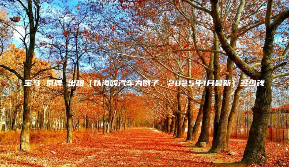 宝马 京牌 出租（以海鸥汽车为例子，2025年1月最新）多少钱