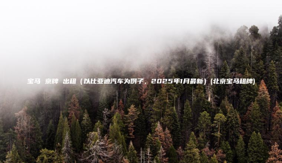 宝马 京牌 出租（以比亚迪汽车为例子，2025年1月最新）(北京宝马租牌)