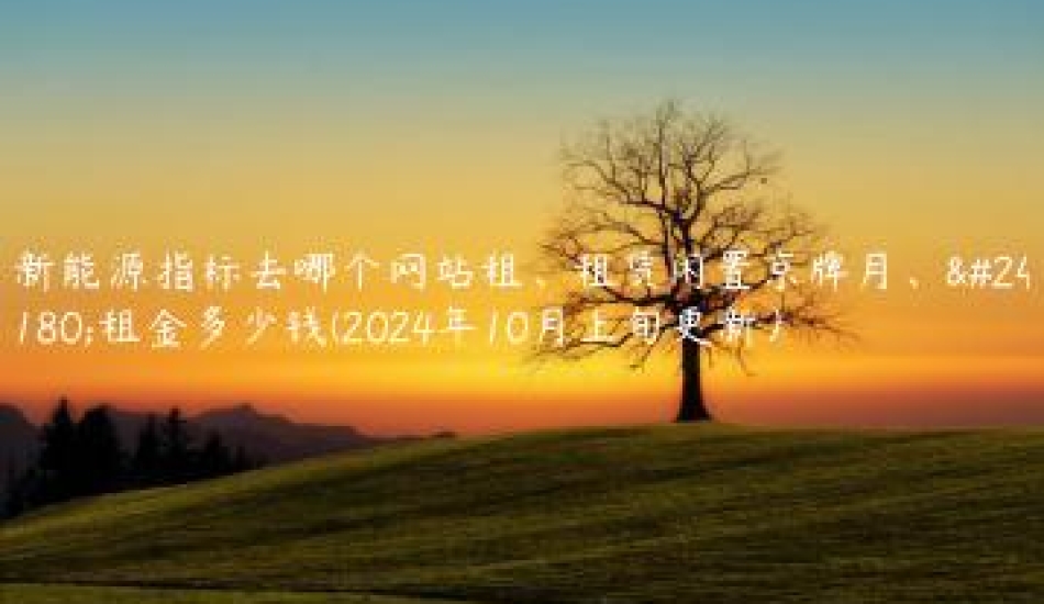 新能源指标去哪个网站租、租赁闲置京牌月、年租金多少钱(2024年10月上旬更新）