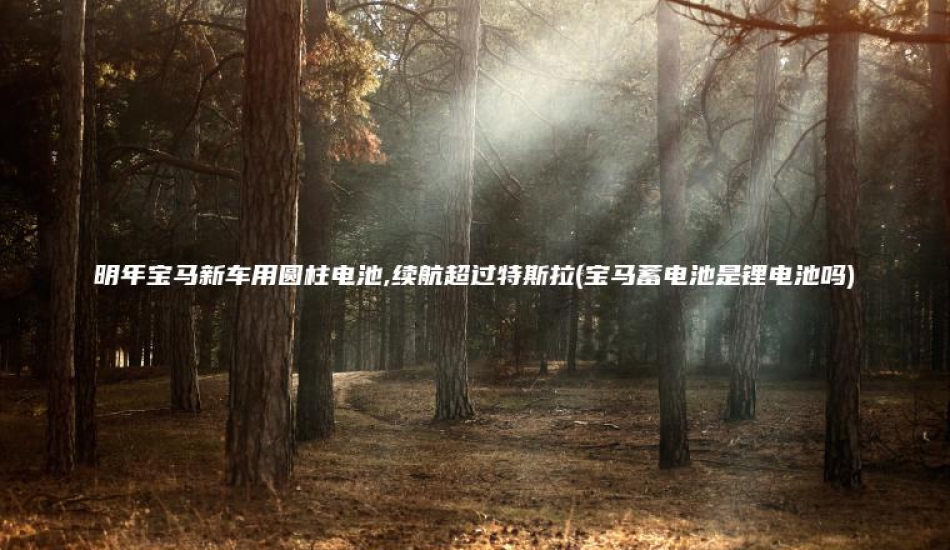 明年宝马新车用圆柱电池,续航超过特斯拉(宝马蓄电池是锂电池吗)