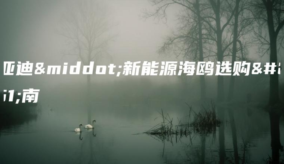 比亚迪·新能源海鸥选购指南