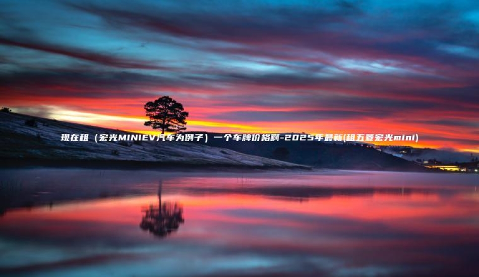 现在租（宏光MINIEV汽车为例子）一个车牌价格啊-2025年最新(租五菱宏光mini)