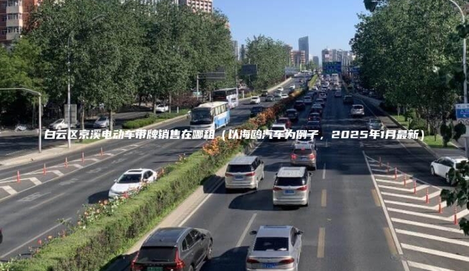 白云区京溪电动车带牌销售在哪租（以海鸥汽车为例子，2025年1月最新）