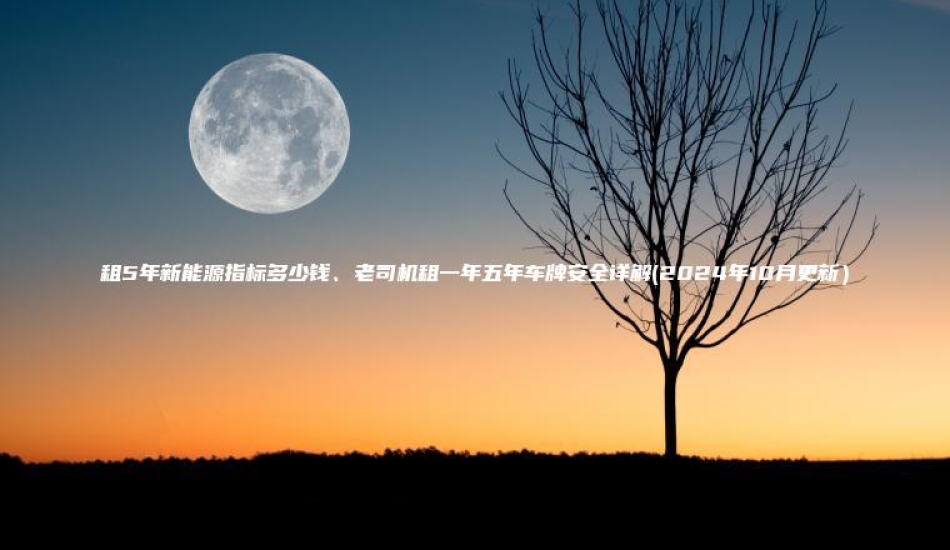 租5年新能源指标多少钱老司机租一年五年车牌安全详解2024年10月更新
